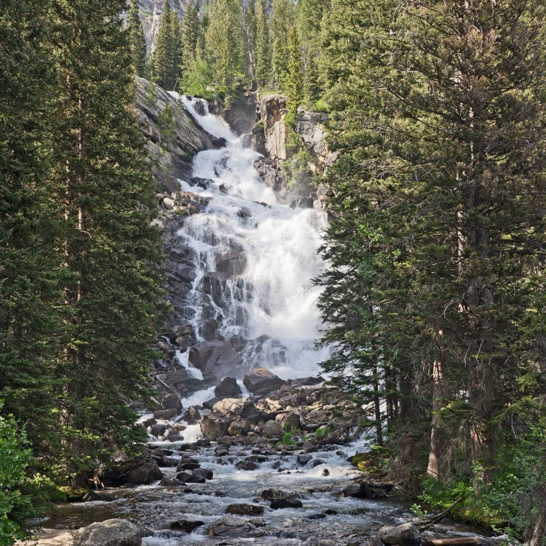 A mountain creek falling in white cascades down a rock face between dense conifers, running out over boulders in the foreground